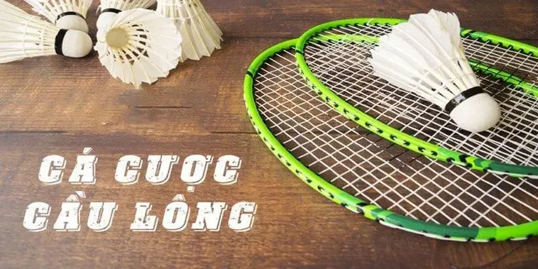 Cách Chơi Cá Cược Cầu Lông Tại NOVA88 Với Tỷ Lệ Thưởng Cao