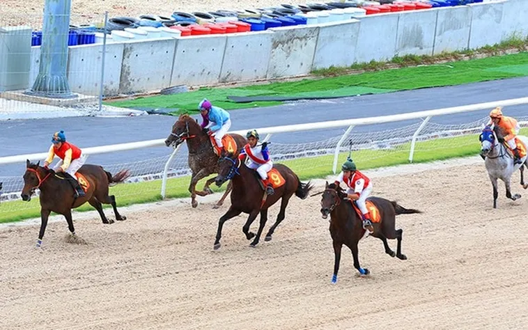 So Sánh Và Lựa Chọn Cá Cược Đua Ngựa Topbet379 Với Các Nền Tảng Khác