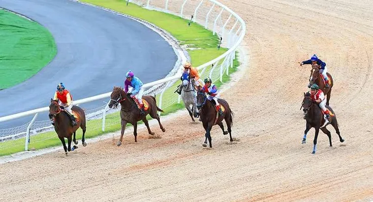 Khám Phá Cá Cược Đua Ngựa 79Win: Tăng Tính Thuyết Phục